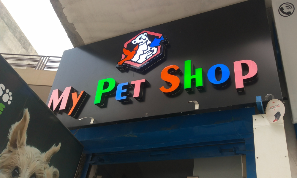 Best Pet Shops in Gurgaon